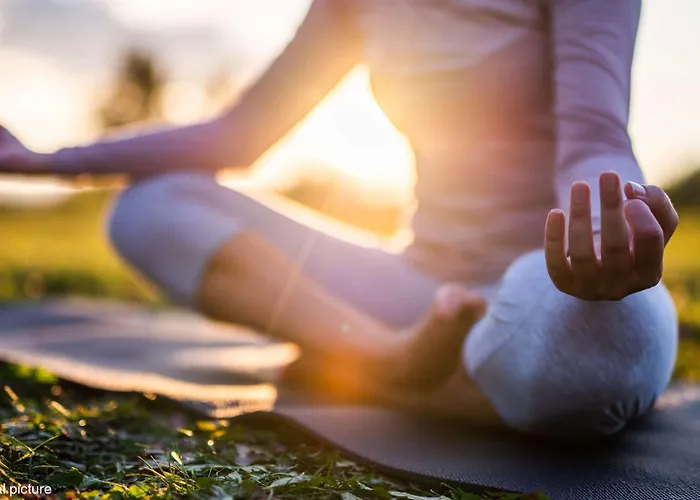 Hotel Campanile Nature - Alencon